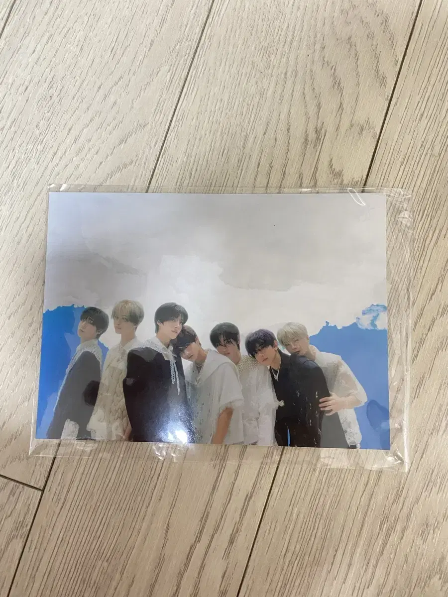 엔하이픈 위버스 특전 포스터카드 postcard