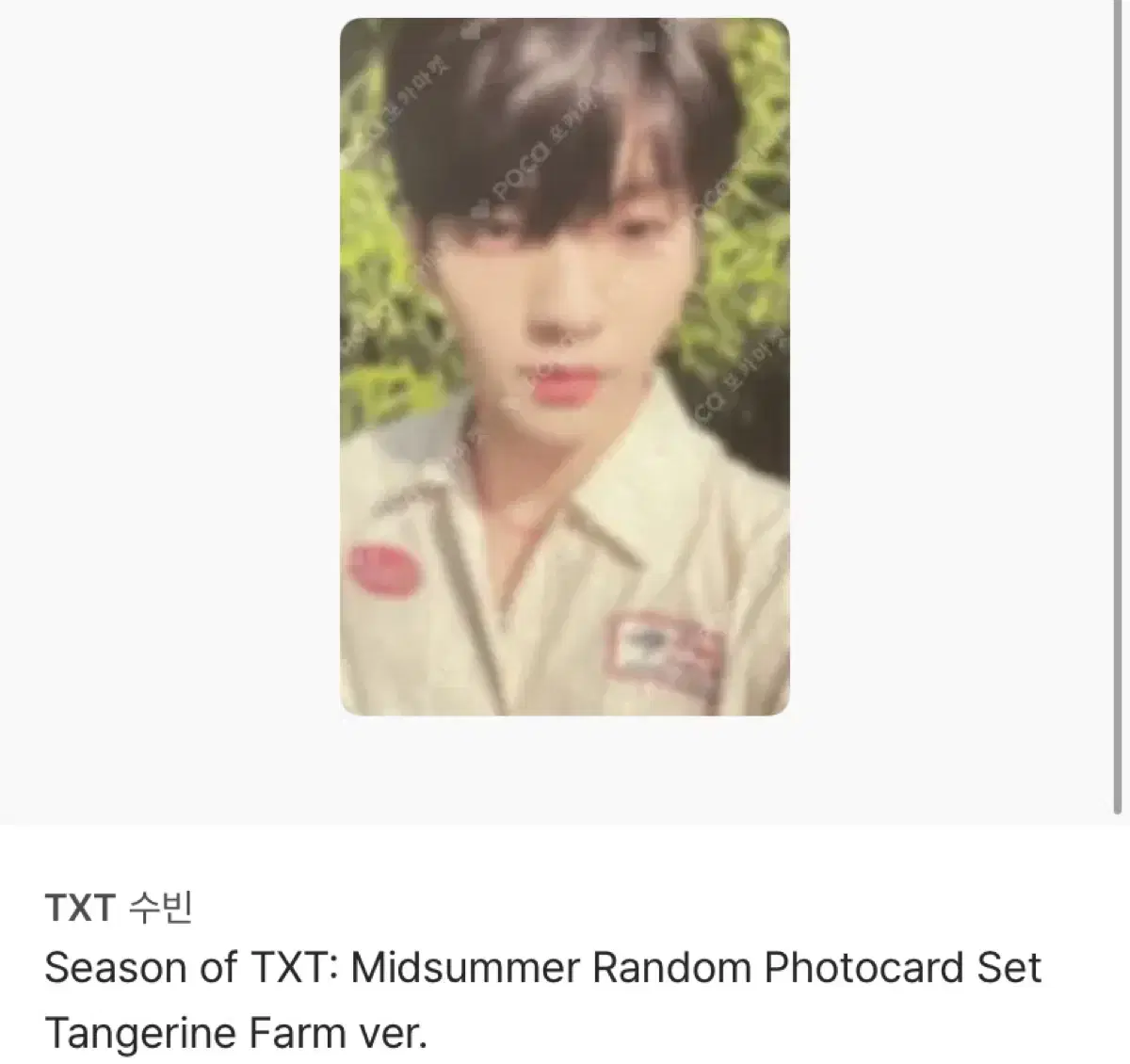 season of TXT Midssummer 수빈포카