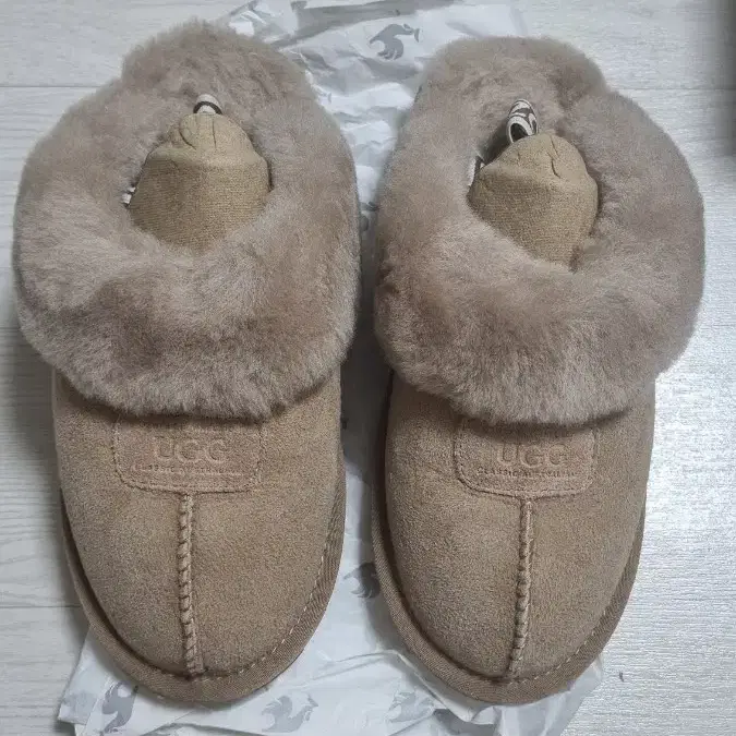 ugg TAZZETTE 235