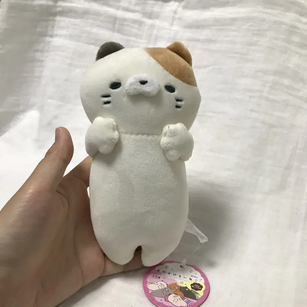 고양이 인형