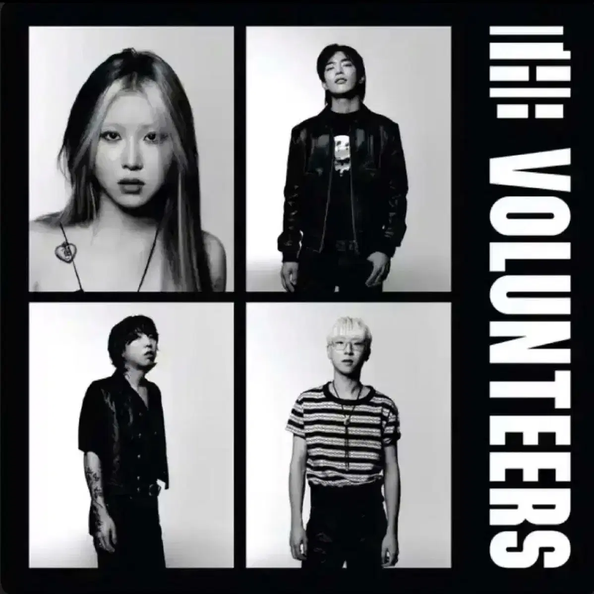 (buy)The volunteers, new plant 앨범 구해요