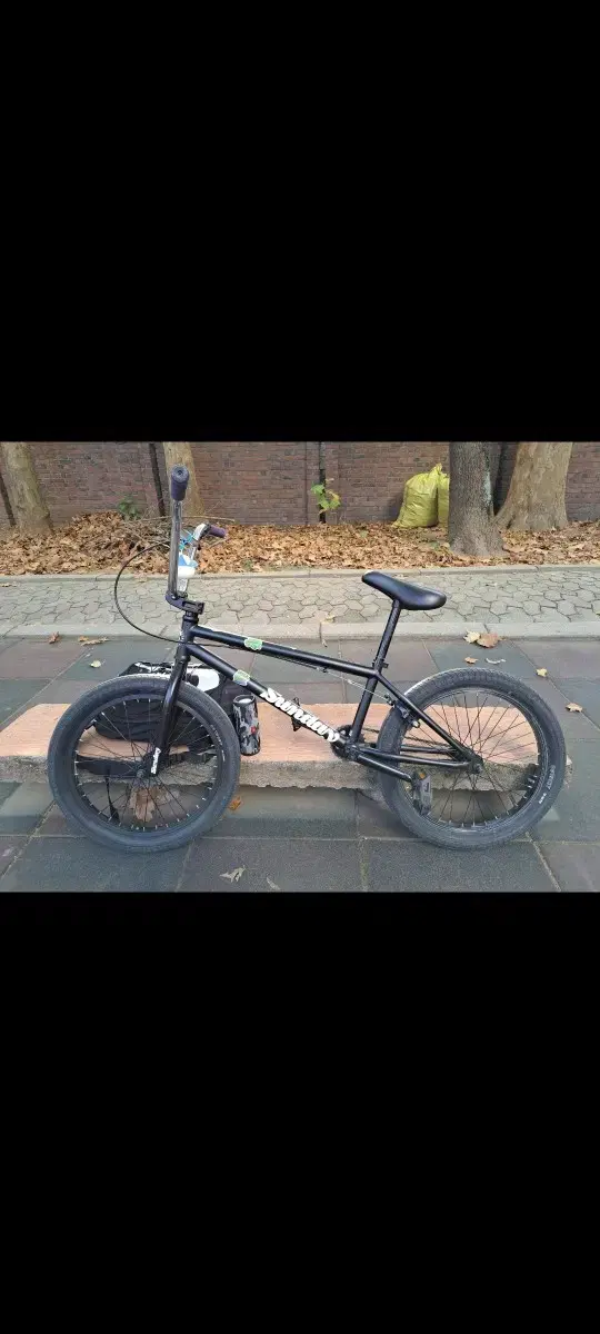 선데이 bmx 대차해요