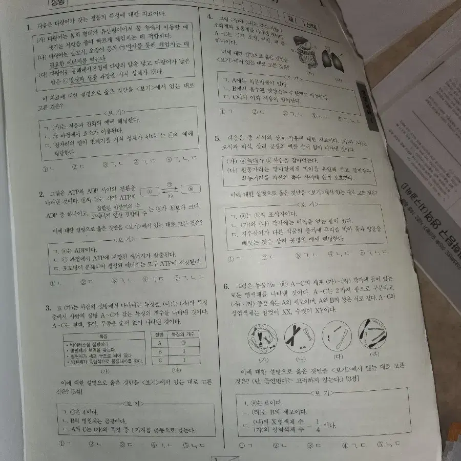 2025 시대인재 생명과학1 전국 파이널 브릿지 모의고사