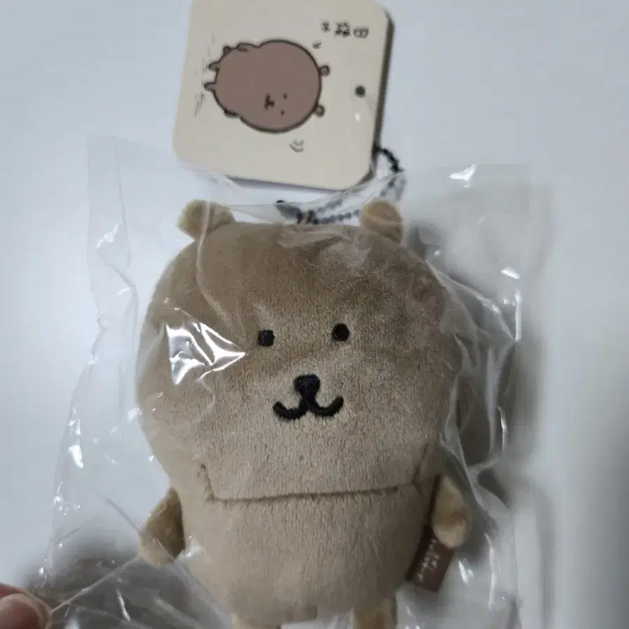 농담곰 태닝곰 인형