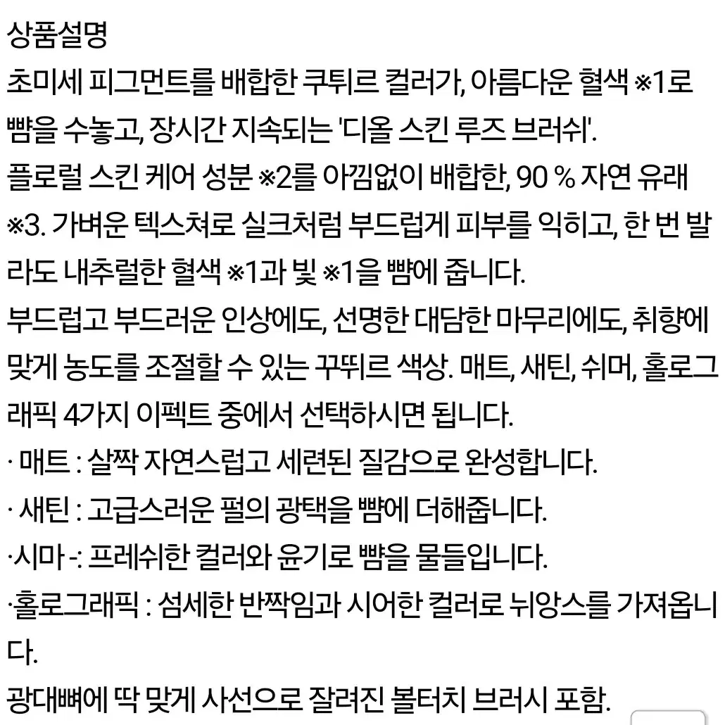 디올 블러셔 스킨 루즈 브러쉬