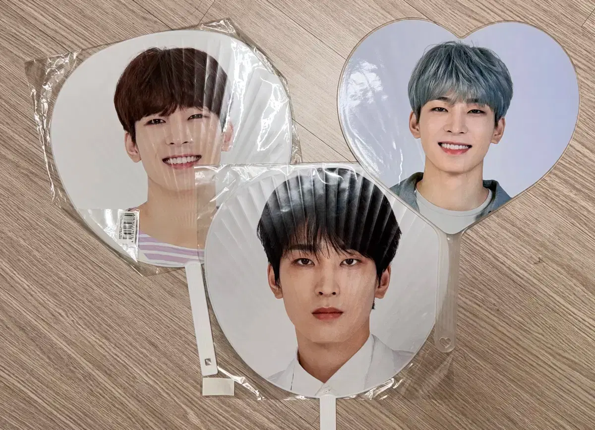 Seventeen wuchiwa imagepicket