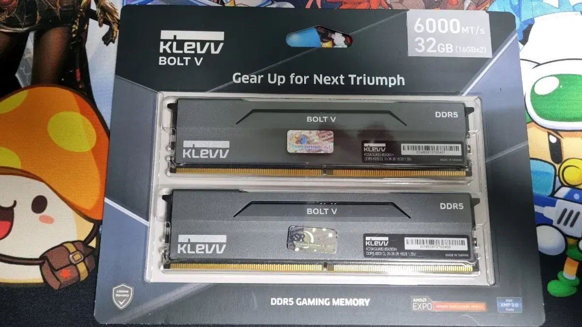 ESSENCORE KLEVV DDR5-6000 CL30 BOLT V