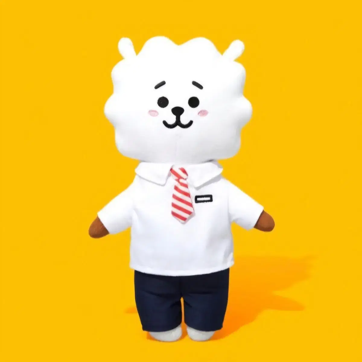 알제이(RJ) 스탠딩돌 미디엄, 스쿨룩 (인형 방탄소년단 진 석진)