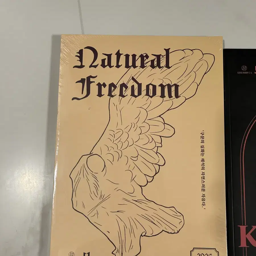 대성마이맥 션티 natural freedom