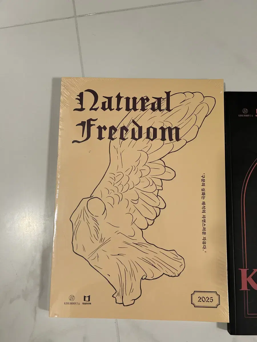 대성마이맥 션티 natural freedom