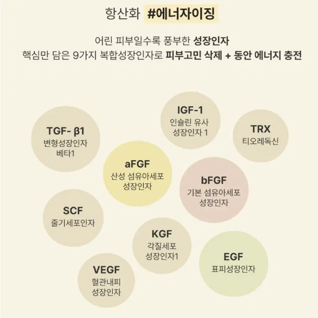 엑소메라 3N 안티 옥시던트 앰플 미개봉 1box