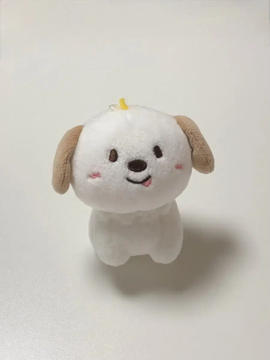 라이즈 멍룡이 앤톤 10cm 멍룡이 인형 양도