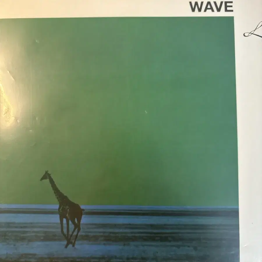 Jobim 조빔 wave LP 택포 3만원