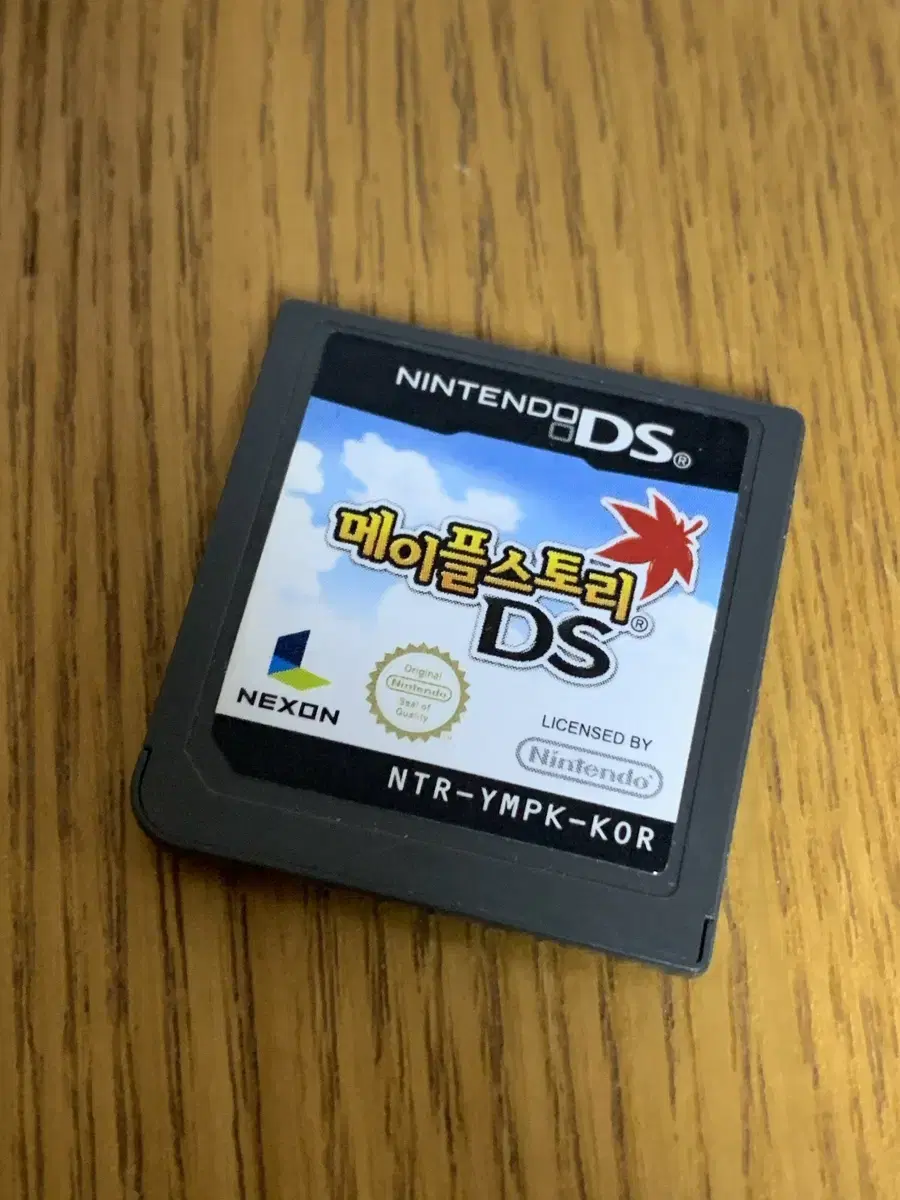 닌텐도 메이플스토리 DS(알칩)