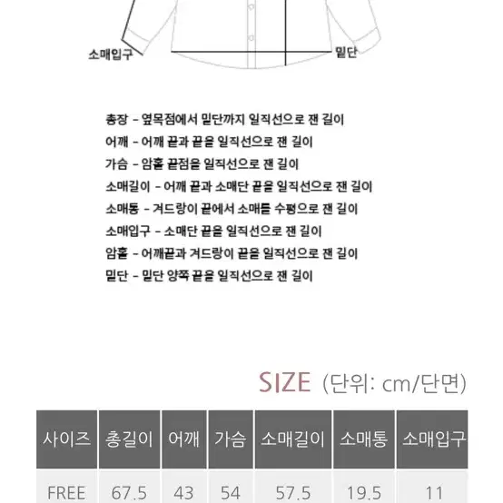 베니토 스판 에센셜셔츠