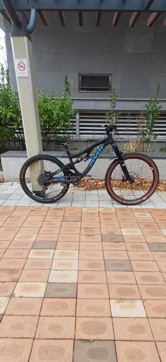 피봇 파이어버드 카본 멀렛 풀샥mtb