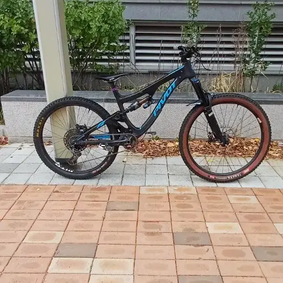 피봇 파이어버드 카본 멀렛 풀샥mtb