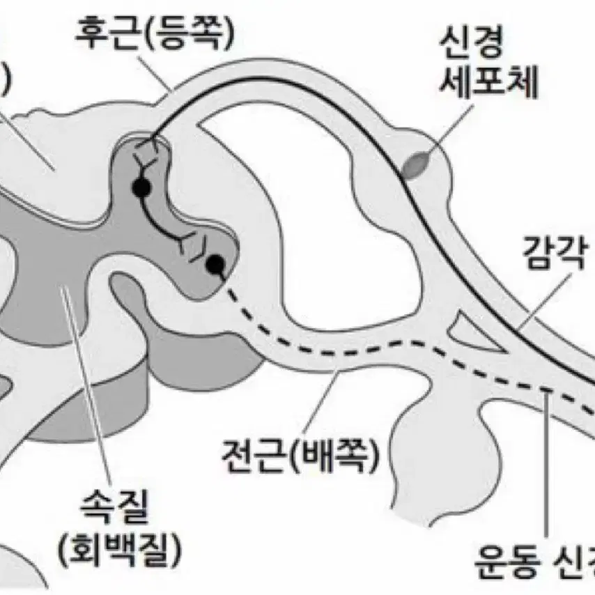 2023 자이스토리 기하 판매