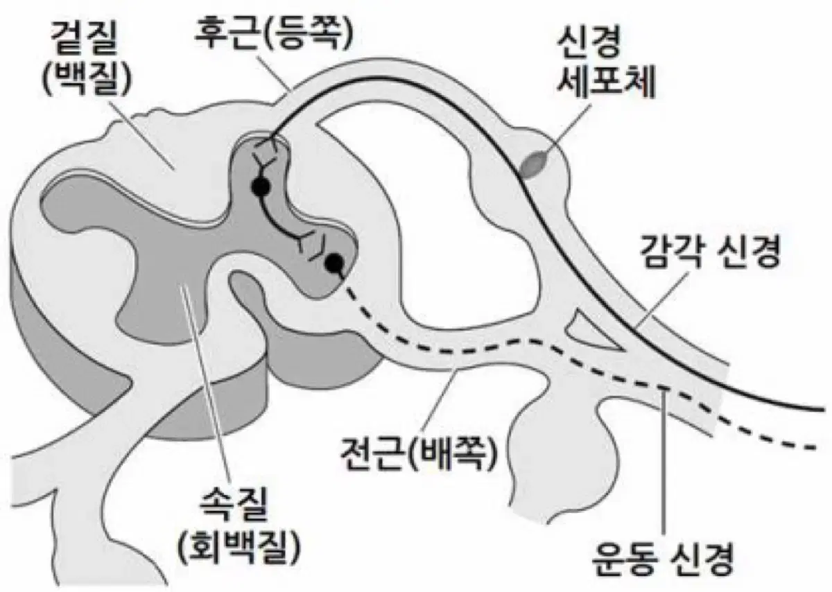 2023 자이스토리 기하 판매