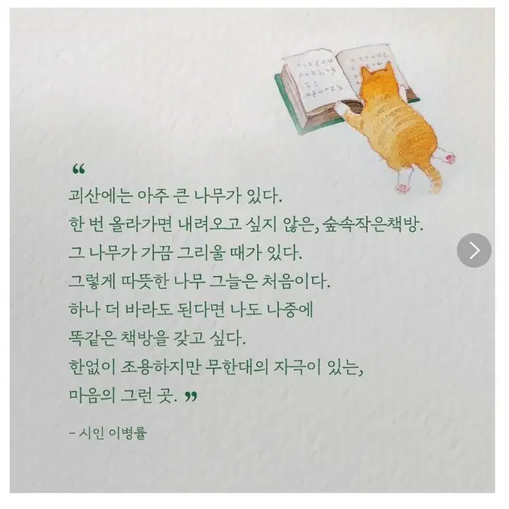 숲속책방 천일야화