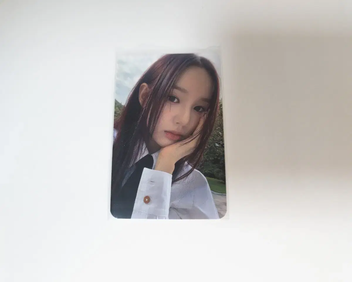 이즈나 사랑 유사랑 izna 공방 포카 양도