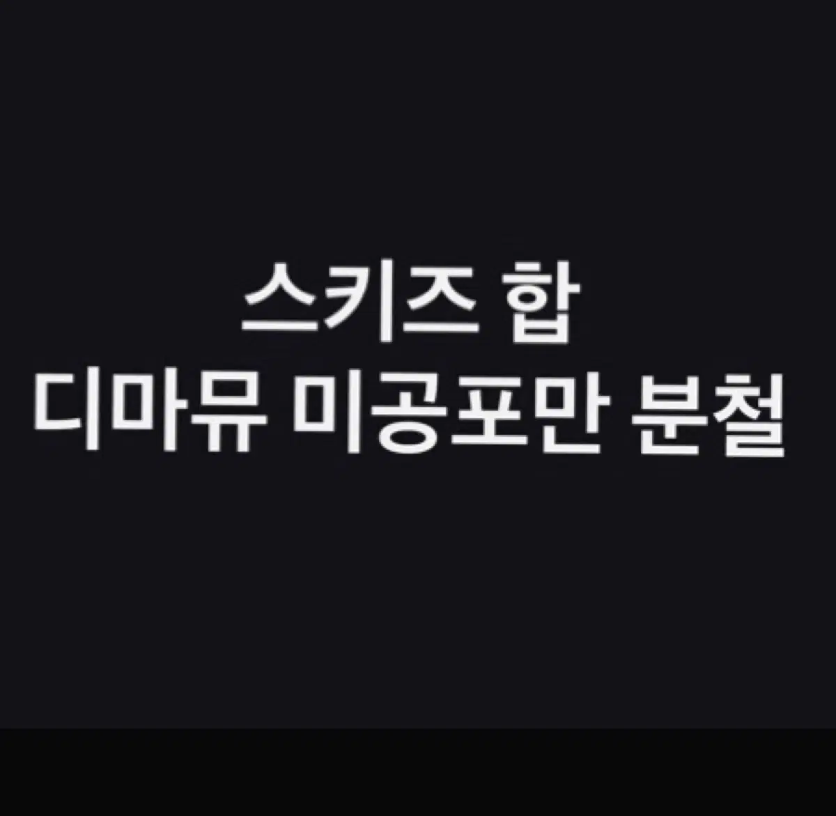 스키즈 합 디마뮤 미공포 분철