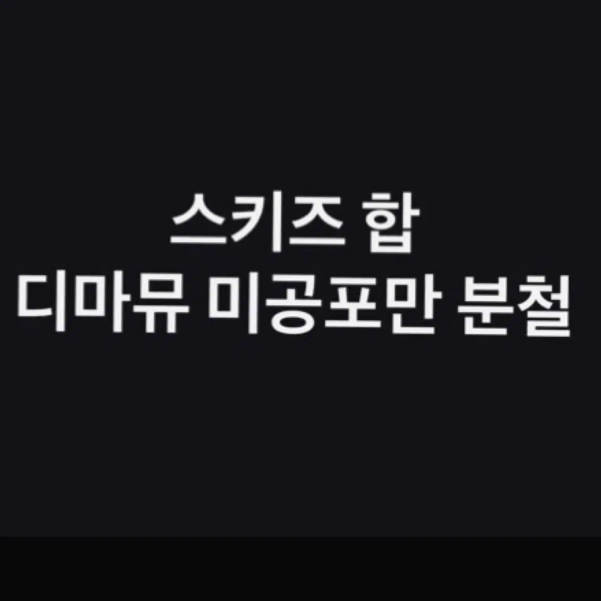 스키즈 합 디마뮤 미공포 분철