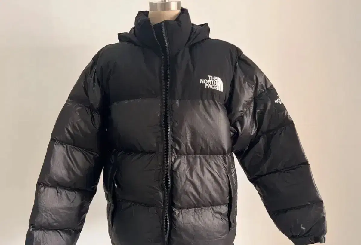 THE NORTH FACE 노스페이스 노벨티 눕시  에코 패딩