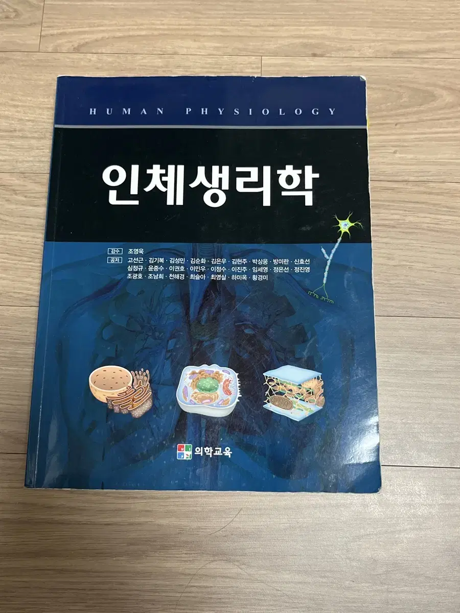 인체생리학 조영옥 의학교육