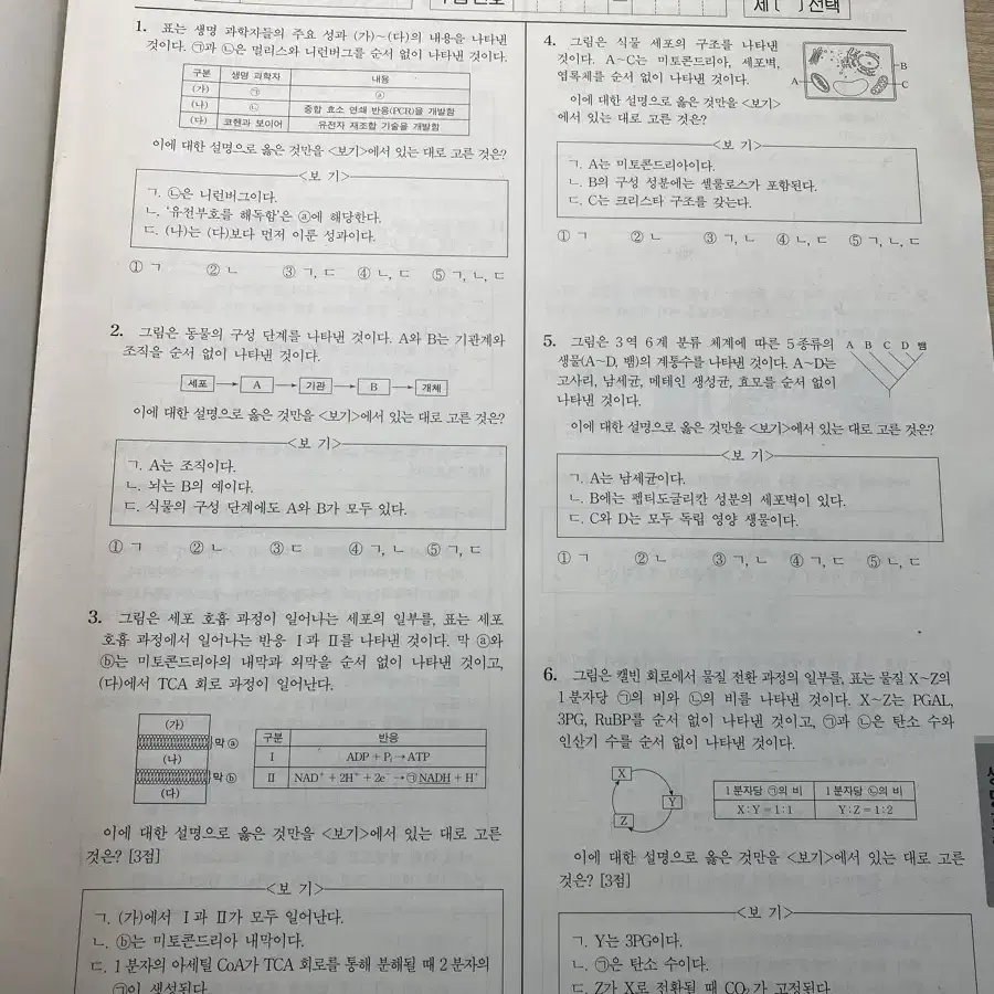 2025 화학2, 생명과학2 시대인재 월례고사(4~11월)