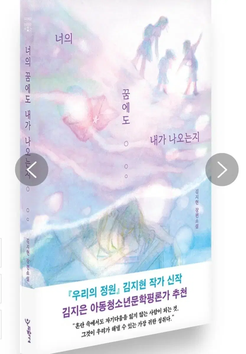 소설 너의꿈에도내가나오는지 문학 청소년 도서 책 문학평론가