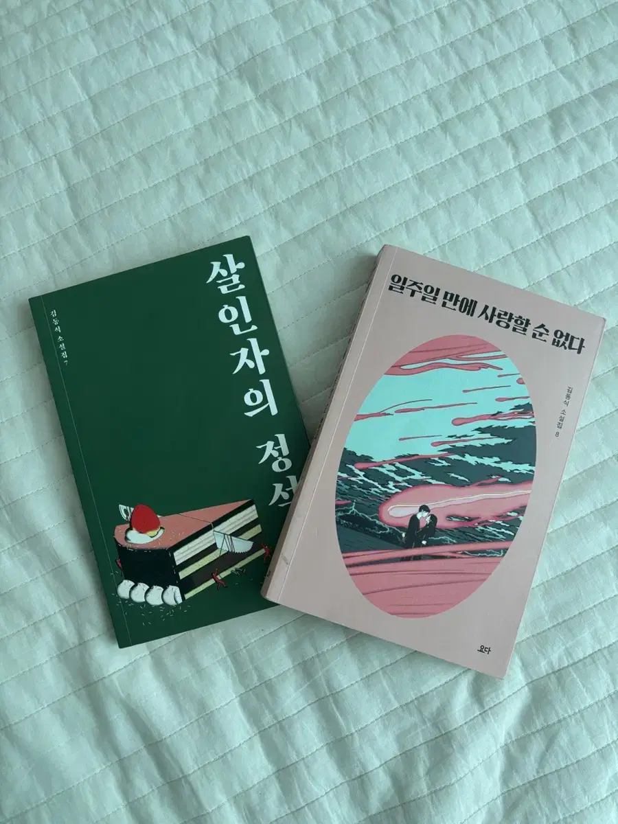 김동식 작가 책