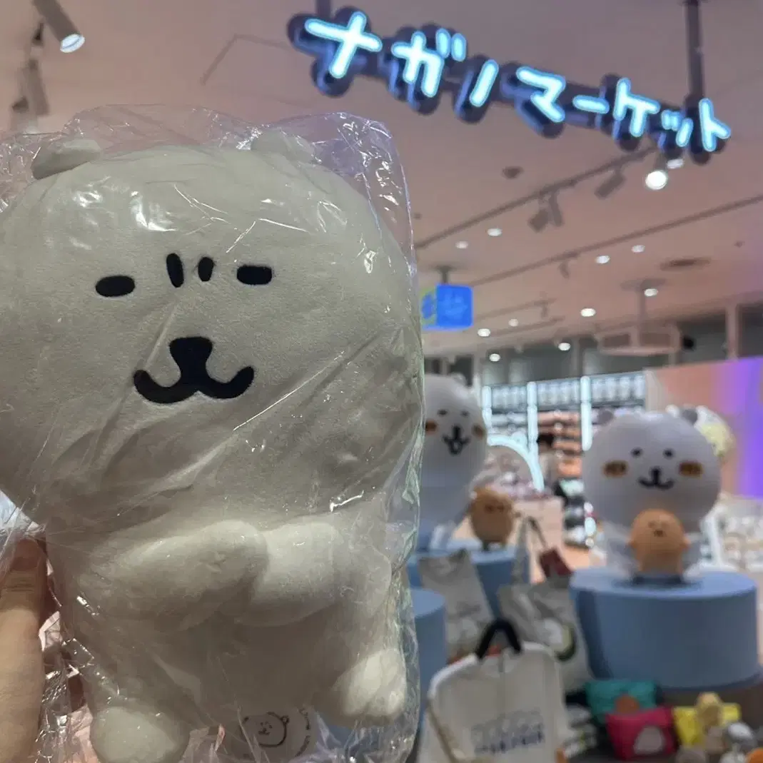 나가노마켓 쿠지 2등상 농담곰(미간곰) 인형