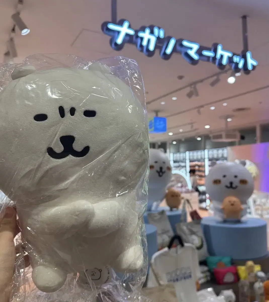 나가노마켓 쿠지 2등상 농담곰(미간곰) 인형