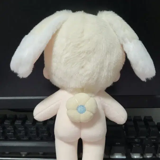 무속성 크림도푸 20cm