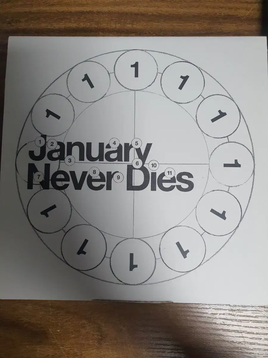 바밍타이거 january never dies CD