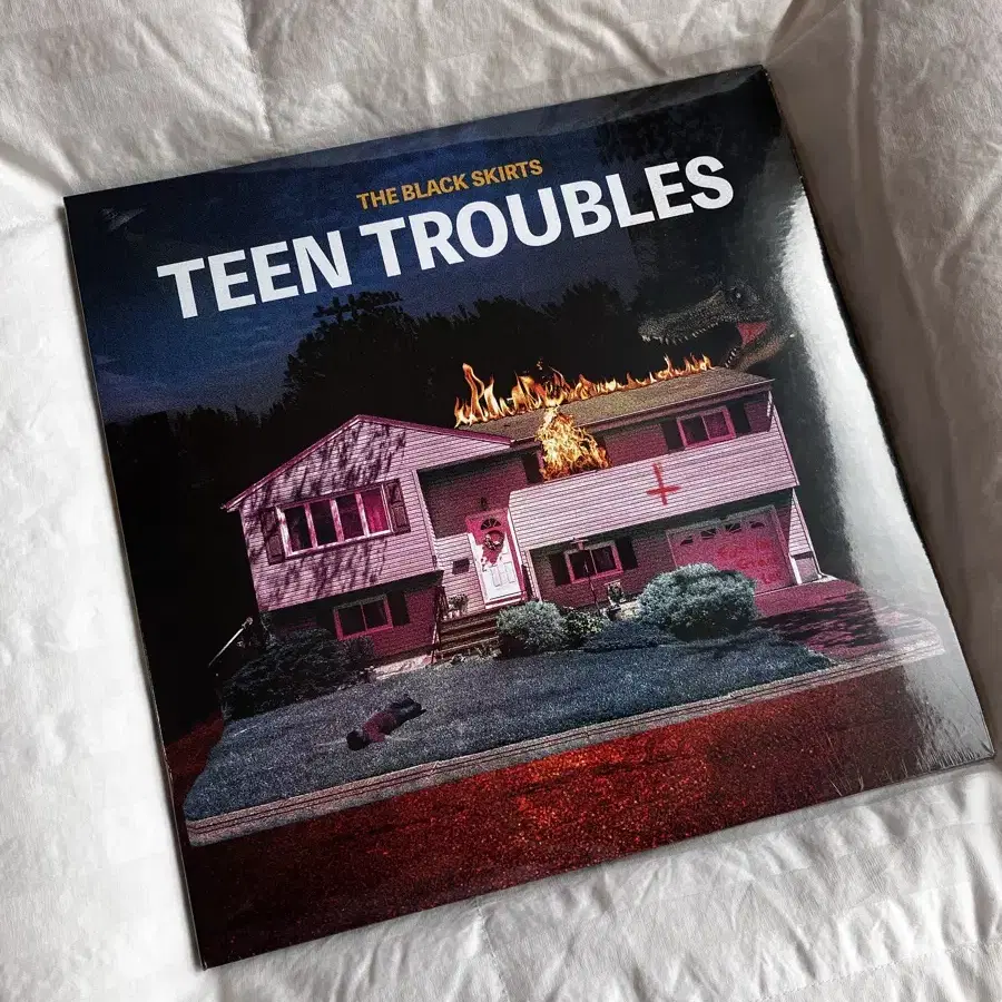 [미개봉] TEEN TROUBLES LP 틴트러블스