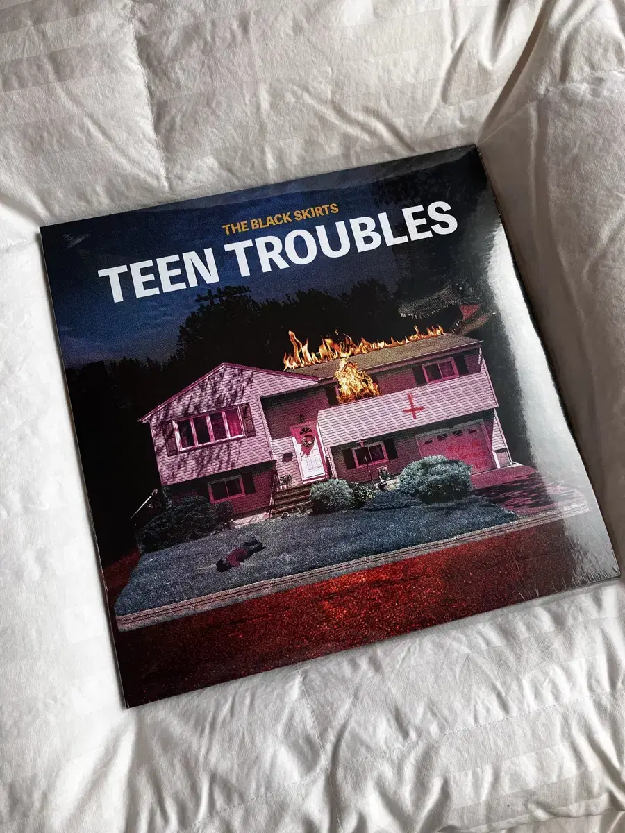 [미개봉] TEEN TROUBLES LP 틴트러블스