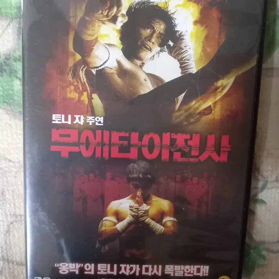 영화 DVD