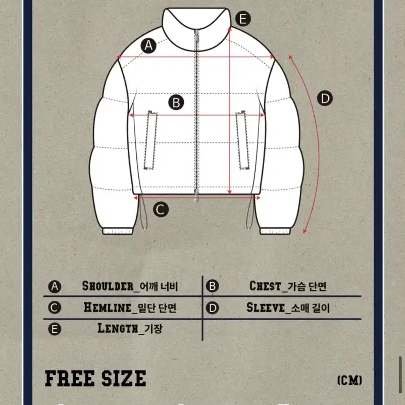 비터셀즈 글로시 크롭 푸퍼 자켓 실버 (숏패딩)