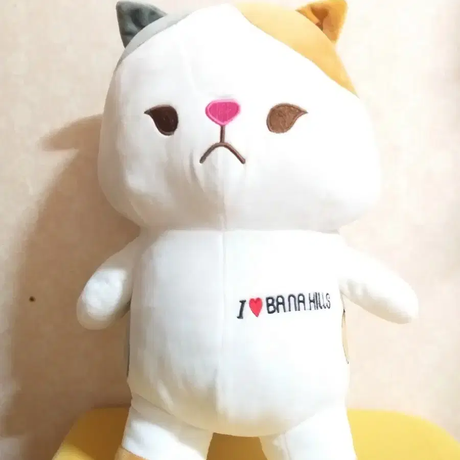 고양이 쿠션 인형(45cm)