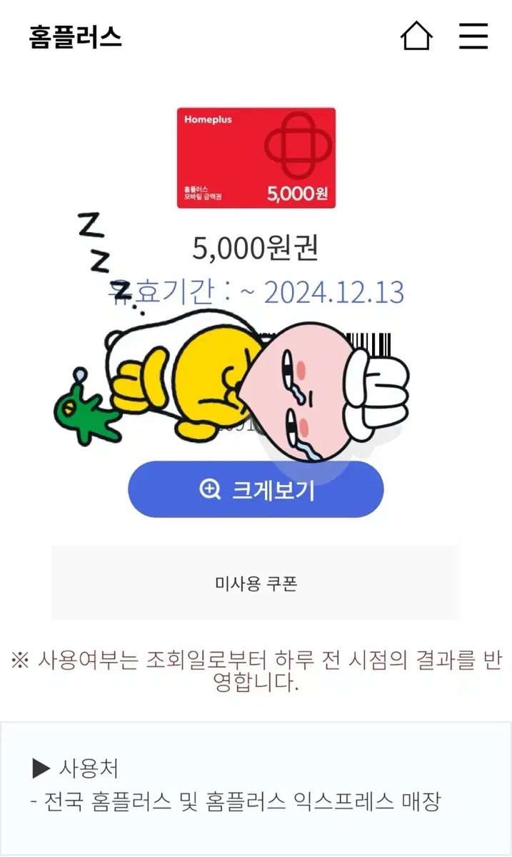 홈플러스 상품권 금액권 5000원권