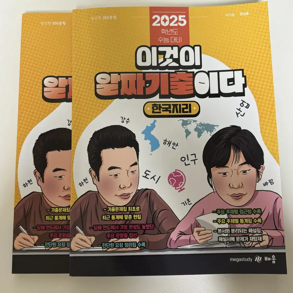 새책) 이기상 이것이 알짜기출이다 / 한국지리 메가스터디 한지