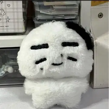 즉시 구매 가능 ENHYPEN 성훈 성훈 봉제 인형 10cm