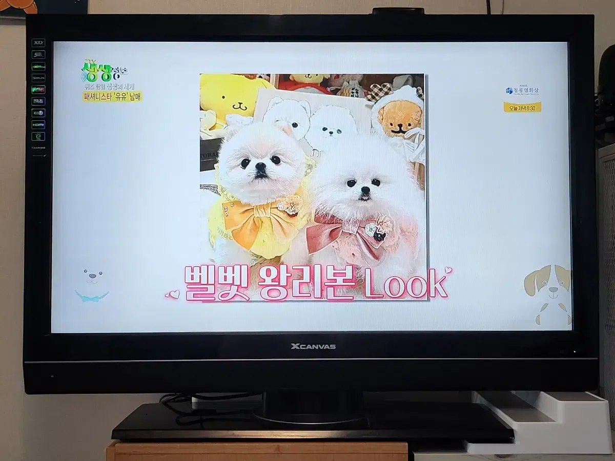 LG 엑스캔버스 42인치 TV