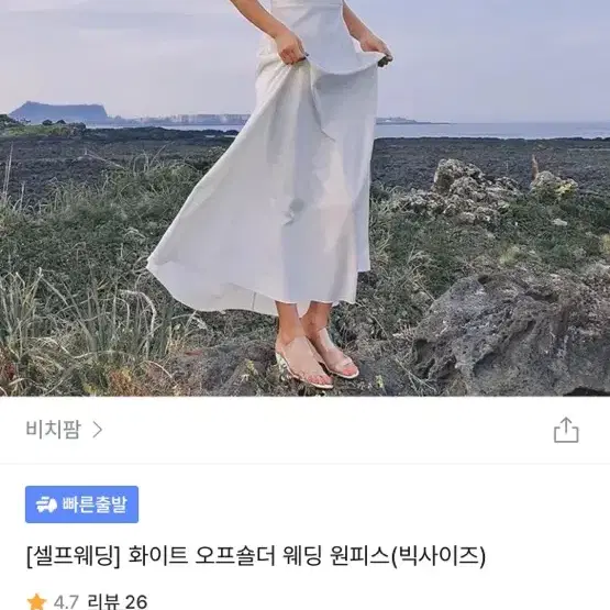 셀프웨딩 및 브라이덜샤워 드레스