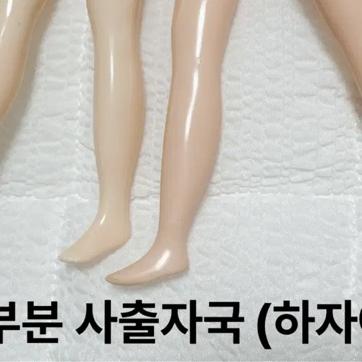 브라이스 네일바디(정품) 미백,노말 블라이스(커스텀,교체용)