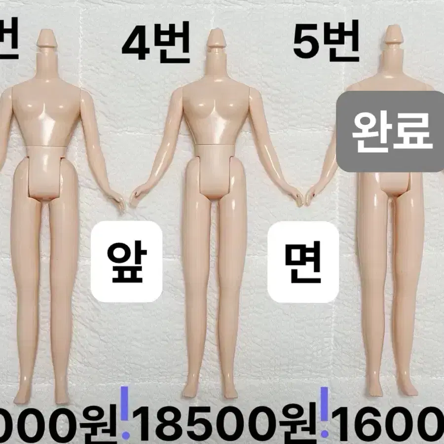 브라이스 네일바디(정품) 미백,노말 블라이스(커스텀,교체용)