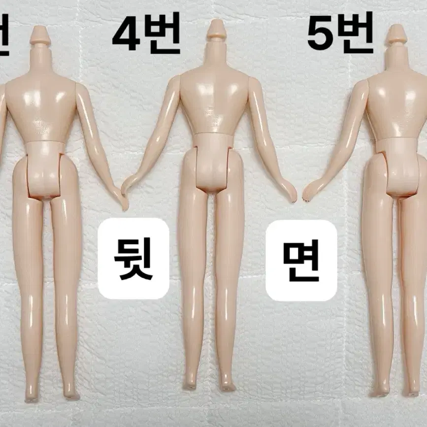 브라이스 네일바디(정품) 미백,노말 블라이스(커스텀,교체용)