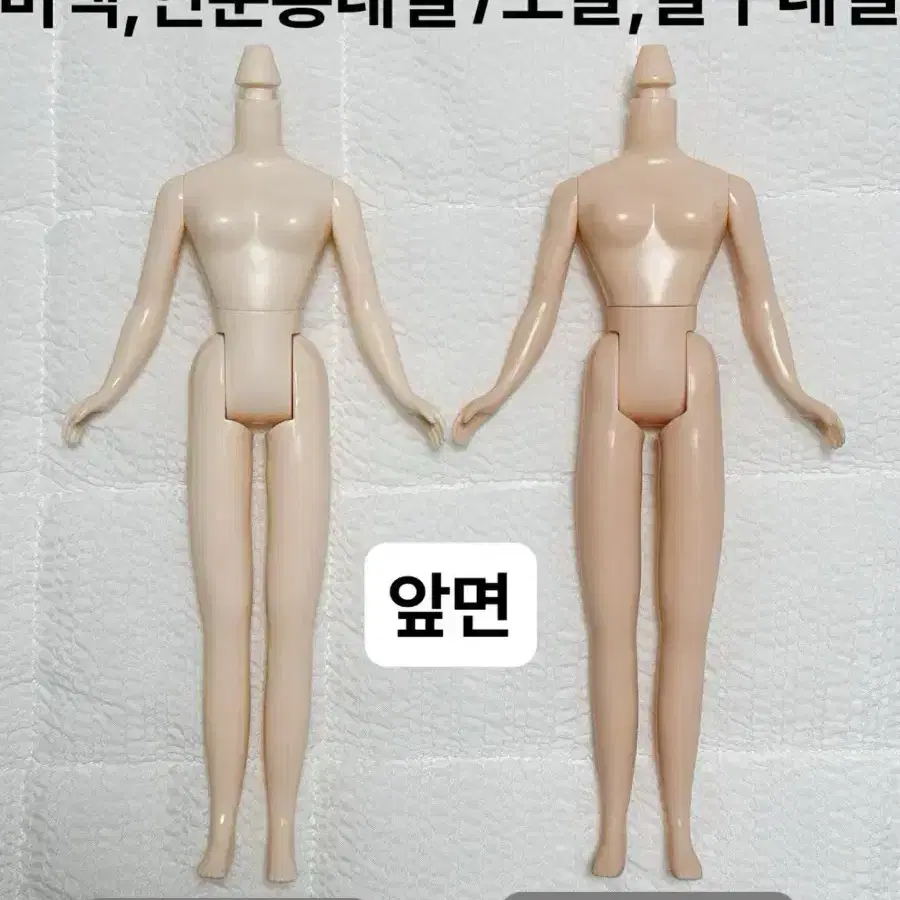 브라이스 네일바디(정품) 미백,노말 블라이스(커스텀,교체용)